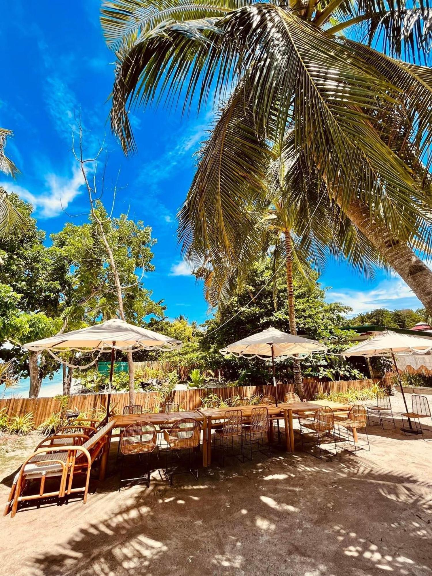 On Board Panglao Beach Hostel & Resort ダオ エクステリア 写真